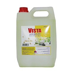 DISH WASH VISTA 5LTR
