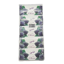 FACAIL SOFT PACK GHENA 600 SHEETS 5 PCS