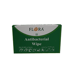 WIPES ANTIBACTRIYA FLORA 12 WIPES