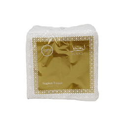 LUSAIL NAPKIN 100SHEET 2 PLY 300*300