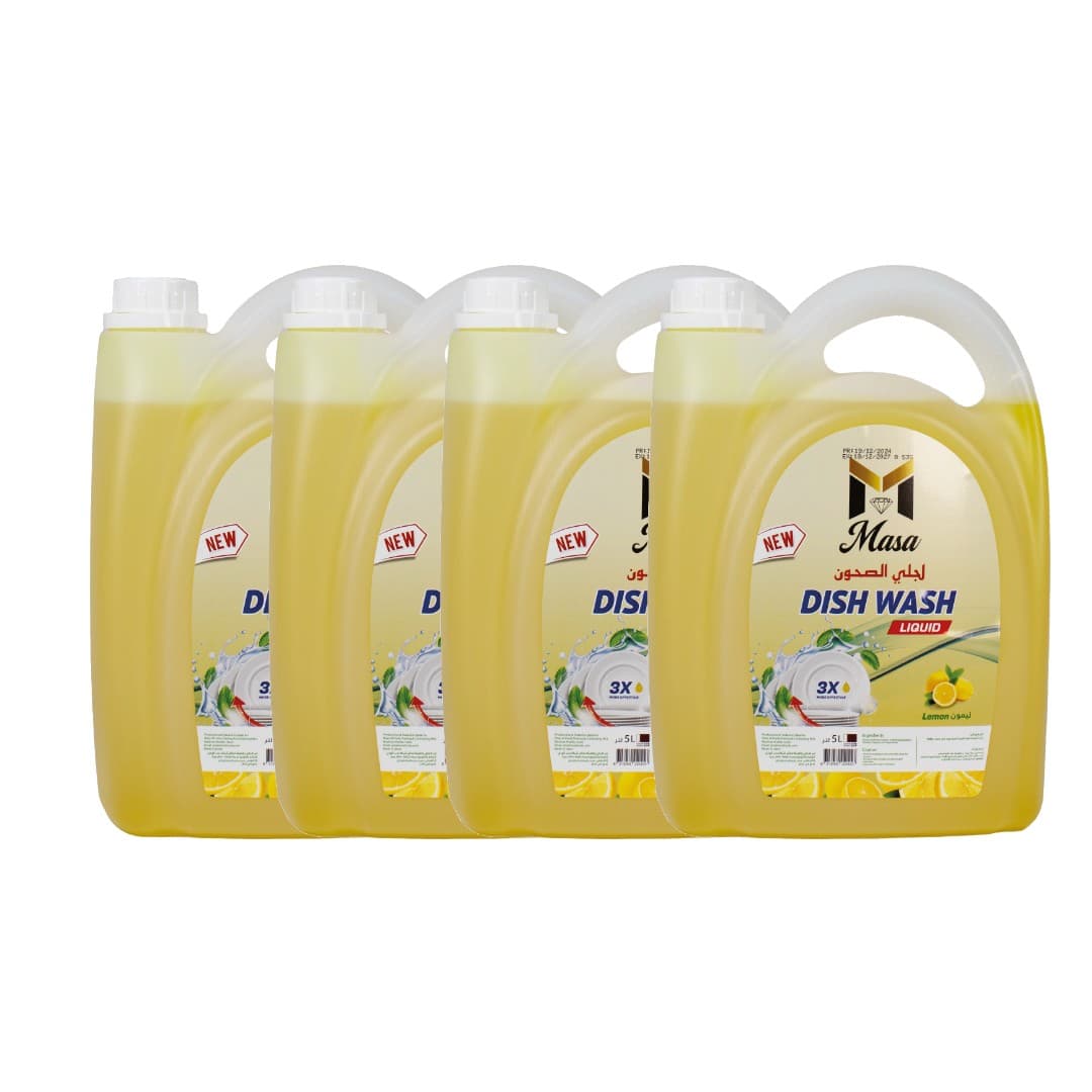 DISH WASH MASA FRESH (4*5 LTR)