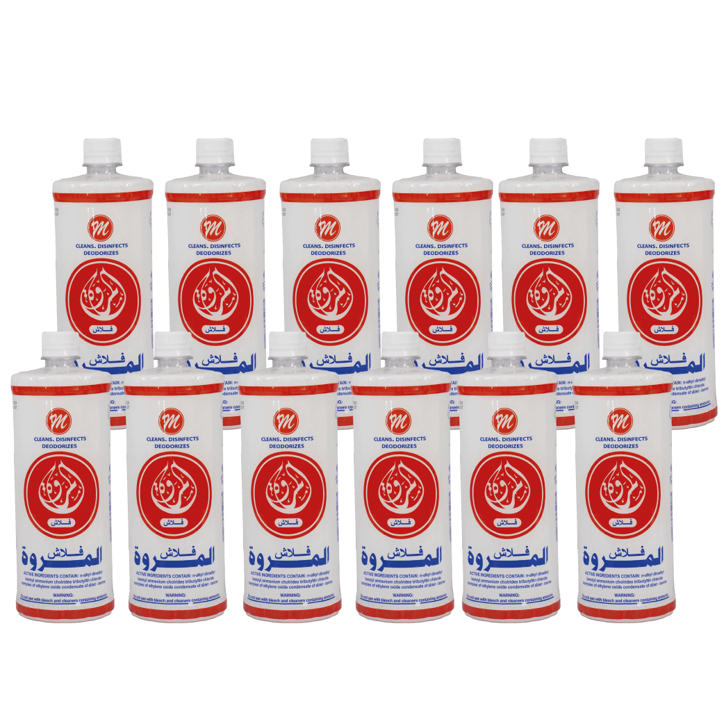 TOILET CLEANER FLASH (12*1 LTR)