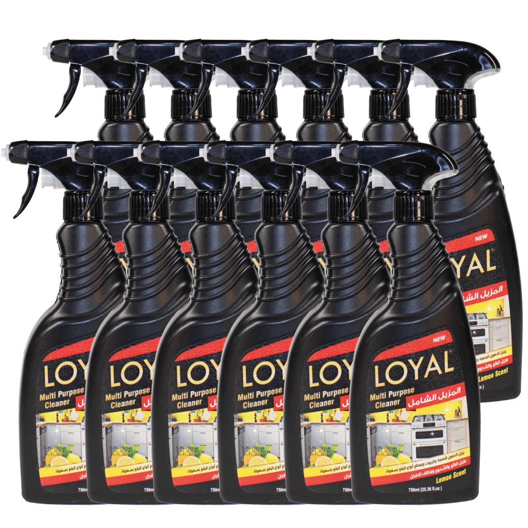 OVEN CLEANER LOYAL (12*750 ML)