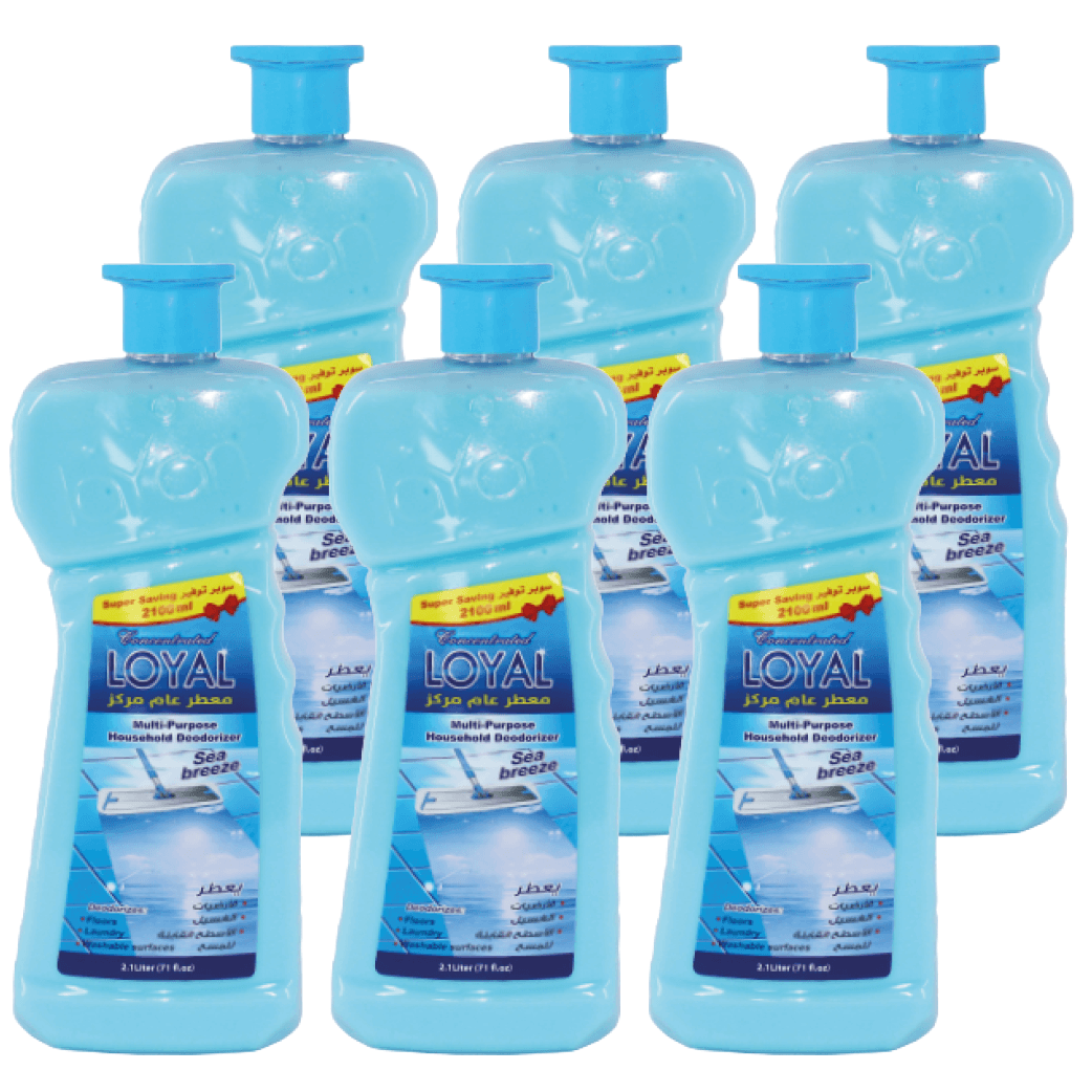 MULTI PURPOSE LOYAL BLUE (6*2100 ML)