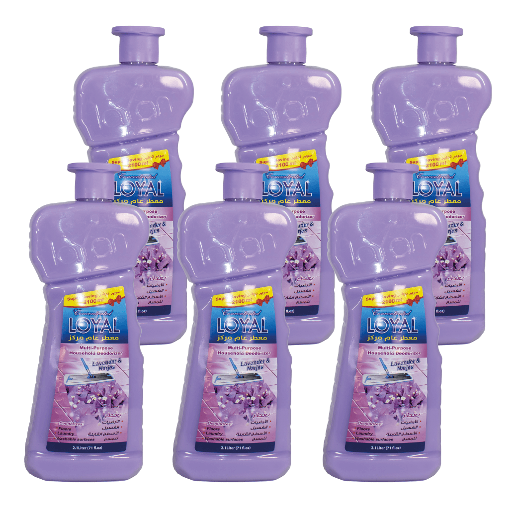 MULTI PURPOSE LOYAL PURPLE (6*2100 ML)
