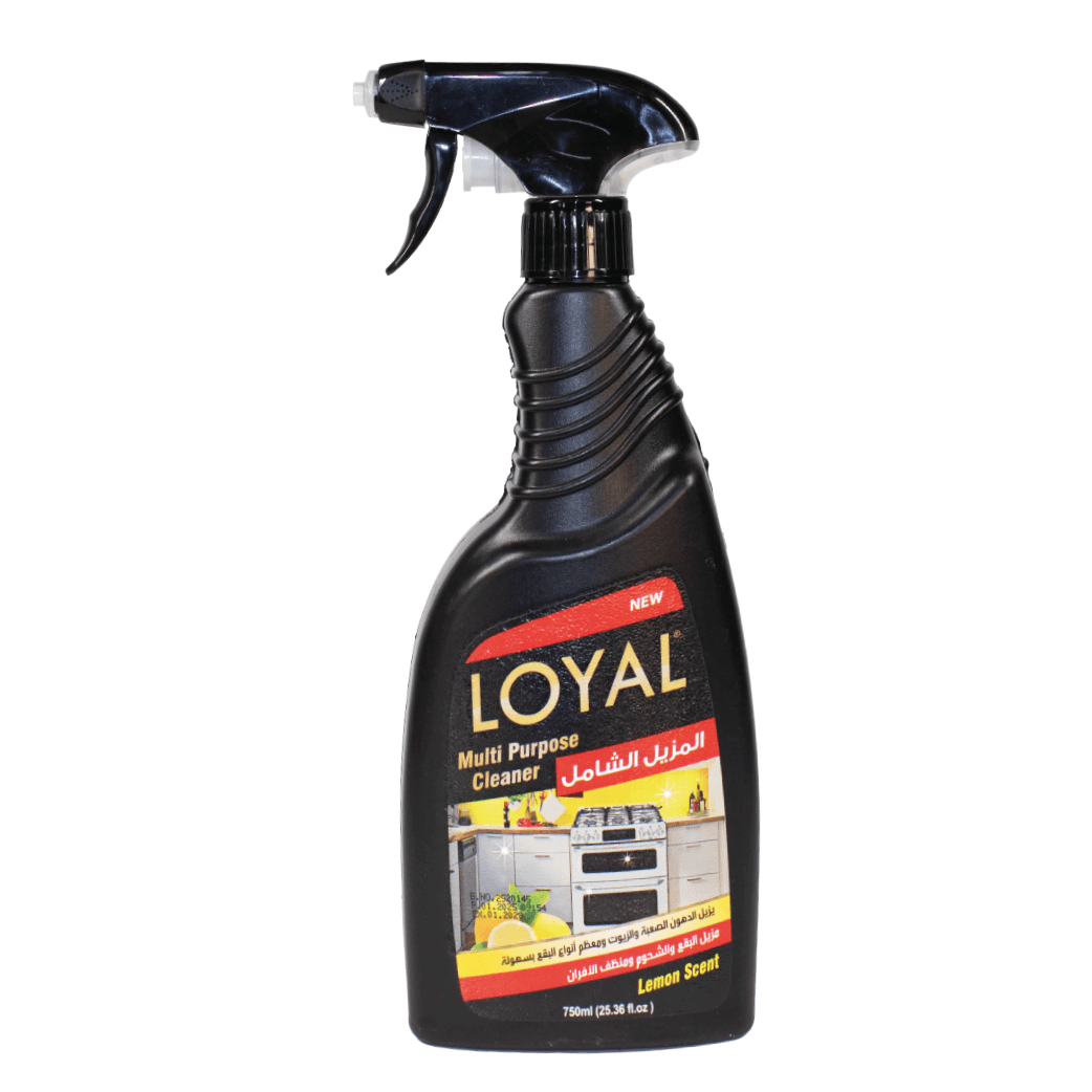 OVEN CLEANER LOYAL 750 ML