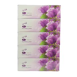 TISSUE CARTON CLASSIC GHENA 100SHEETS 5 PCS